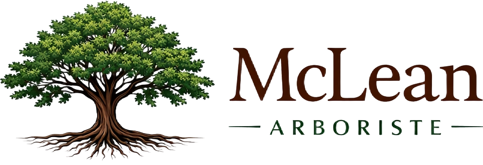 Mclean Arboriste logo